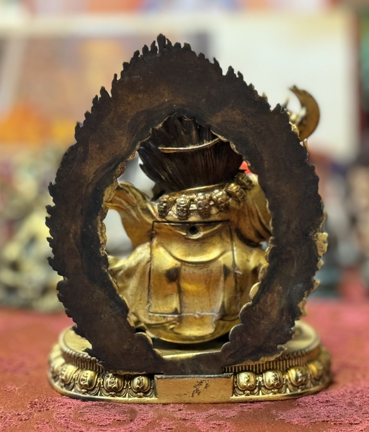 清大黑袍金剛(背面)