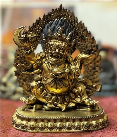 清大黑袍金剛(正面)